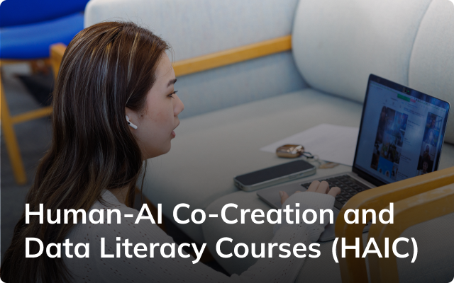 Human-AI Co-Creation and Data Literacy Courses (HAIC)